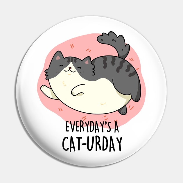 Everyday's A Caturday Cute Saturday Cat Pun. Pin by punnybone