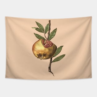 Mediterranean Pomegranate Fruit And Seeds Vector Art Tapestry