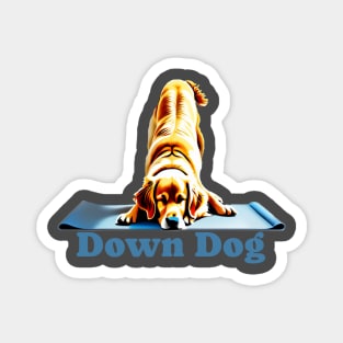 Golden Labrador doing the down dog yoga pose Magnet