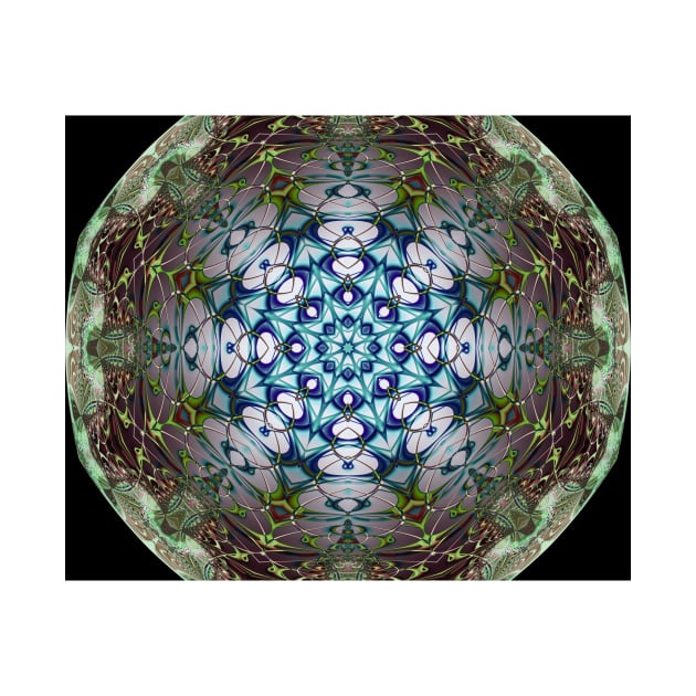 Mandala of Trapped Light by Edward L. Anderson 