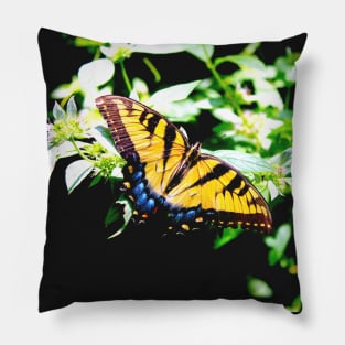 Eastern Tiger Swallowtail Pillow