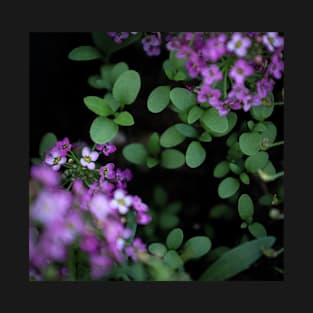 Beautiful Flowers T-Shirt