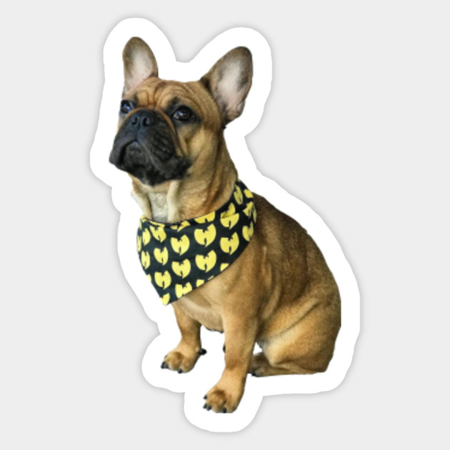 wu tang dog collar
