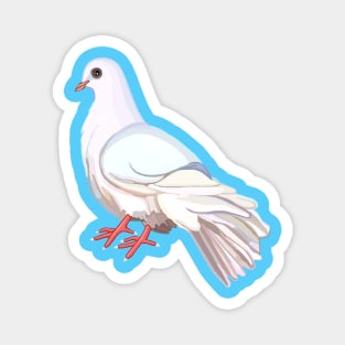 Dove Magnet