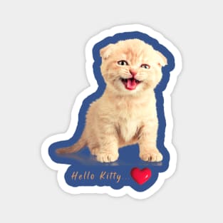 Hello Kitty Funny Cat Magnet