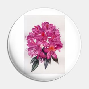 Pink rhododendron watercolour painting Pin