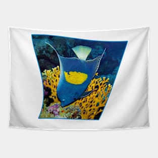 Angelfish | I am the emperor in my area | Tapestry