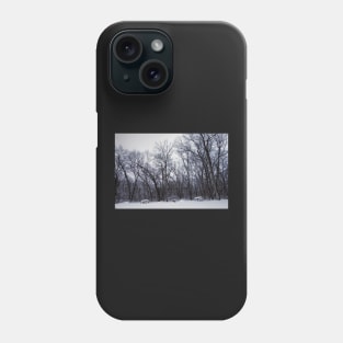 Winter's Arboreal Majesty Phone Case