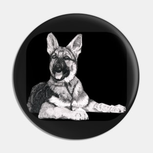 Alsatian alert, watching..... Pin