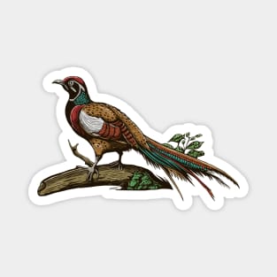 Hand Drawn Exotic Bird on tree branch Magnet