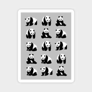 Panda Bear Pattern on a Grey Background Magnet