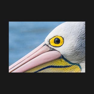 Pelican Eye T-Shirt