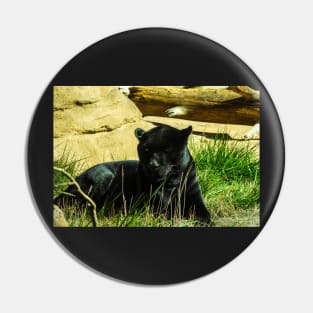 Black Panther Pin