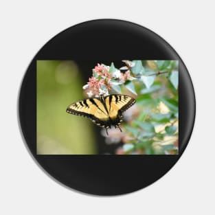 Yellow swallowtail Pin