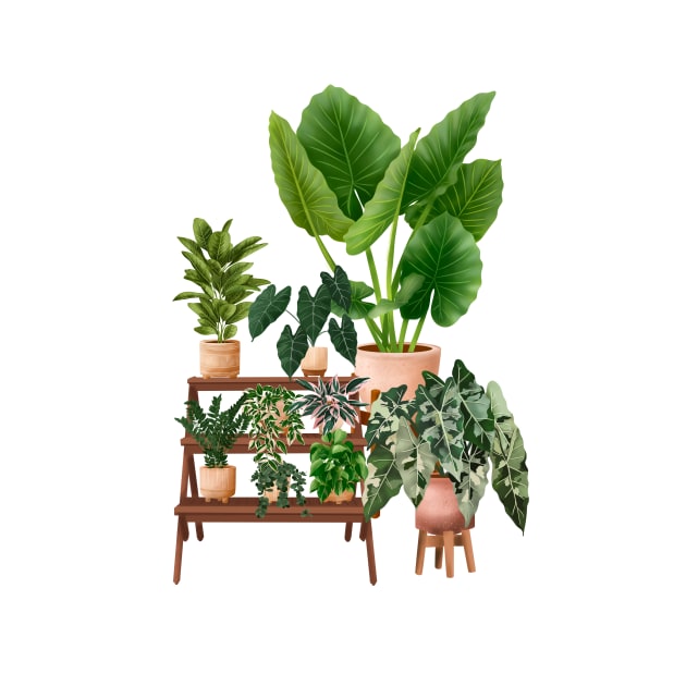 House plants collection 40.4 by gusstvaraonica