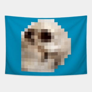 8bit Pixel Gothic Skull †††† Graphic Design Pattern Tapestry