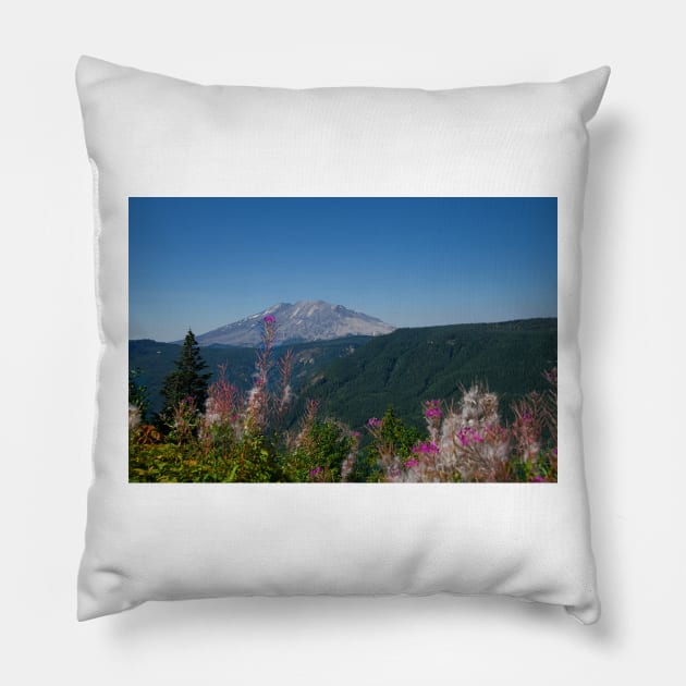 850_2273 Pillow by wgcosby