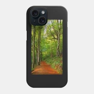 Cotswolds Forest Footpath Phone Case