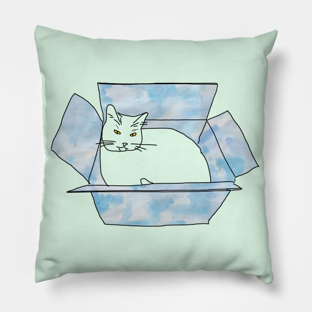 Look at this smug cat sitting in a box! Pillow by HFGJewels