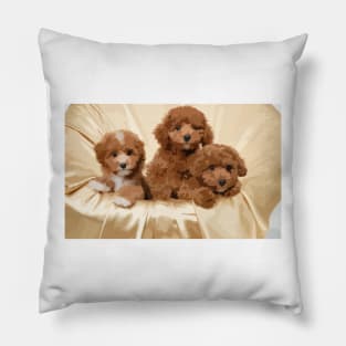 Poodle Puppies Digital Painting Pillow