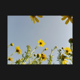 Beautiful summer yellow flowers T-Shirt