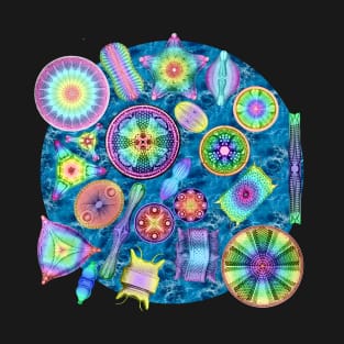 Ernst Haeckel Rainbow Diatoms over Water T-Shirt