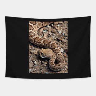 Rattlesnake near Joshua Tree entrance Tapestry