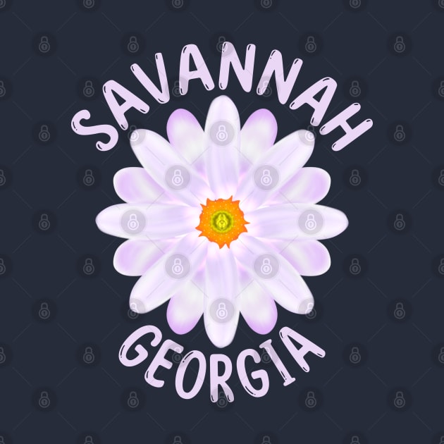 Savannah Georgia by MoMido