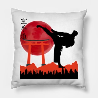 Karate/Taekwondo/MartialArts Pillow