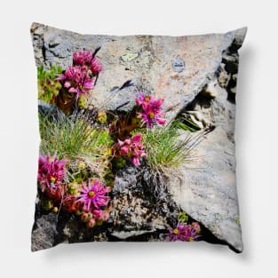 Rock & flowers Swiss Alps Pillow