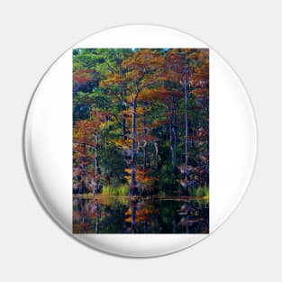 Autumn Trees Pin