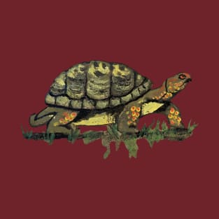 Painted Turtle T-Shirt
