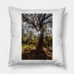 Tree in Kincumba Mountain Reserve Pillow