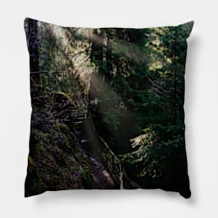 Forest Rays Pillow