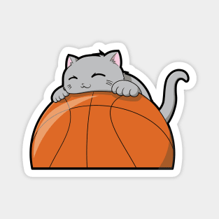 Cute Cat Hugging A Basketball Magnet