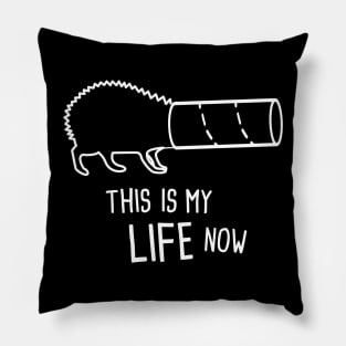 Cute And Funny Pet Hedgehog Graphic Pillow