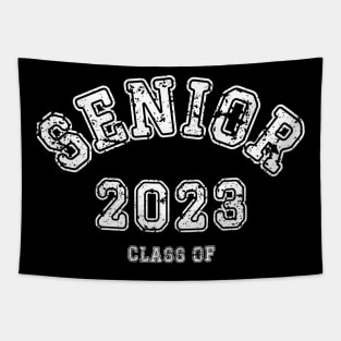 Senior Class of 2023 Tapestry