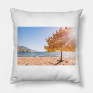 Autumn Maple Tree Beach Scene Pillow