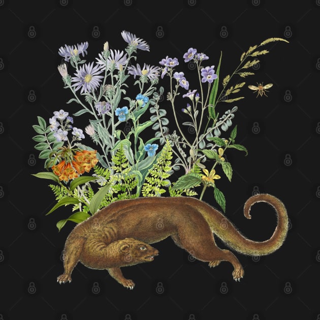 OTTER IN THE GARDEN by Biophilia