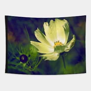 Night Garden White Cosmos Tapestry