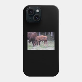 Adolescent Bison Phone Case