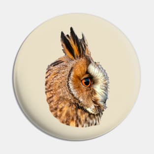 Long Eared Owl Pin