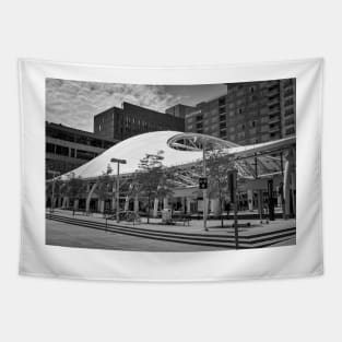 Denver Urban Transit Center Tapestry