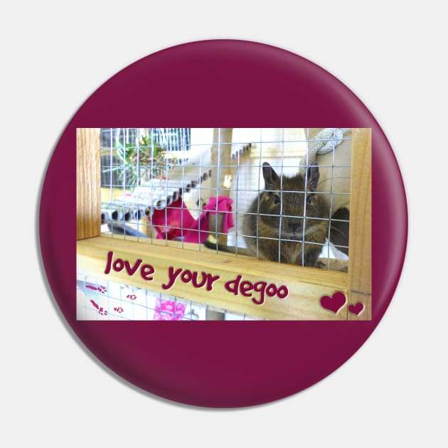 Love Your Degu Pin by Mystical_Illusion