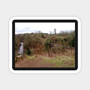 Cadzow Castle Remains & Dukes Bridge, Chatelherault near Hamilton, Scotland Magnet