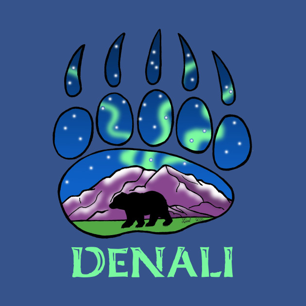 Disover Denali Aurora - Denali National Park - T-Shirt