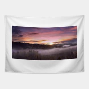 Sunrise in a mist forest Tapestry