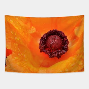 Beautiful Orange Poppy  - Early Spring Blooms Tapestry