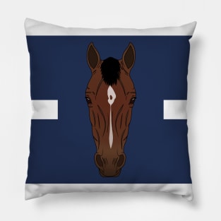 REKINDLING - RACEHORSE - SILKS Pillow