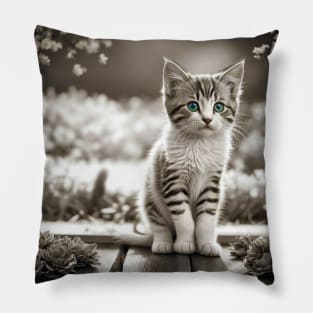 Cat Lovers Cute Kittens Pillow